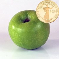 Гренни Смит (Granny Smith) Гренни Смит (Granny Smith)